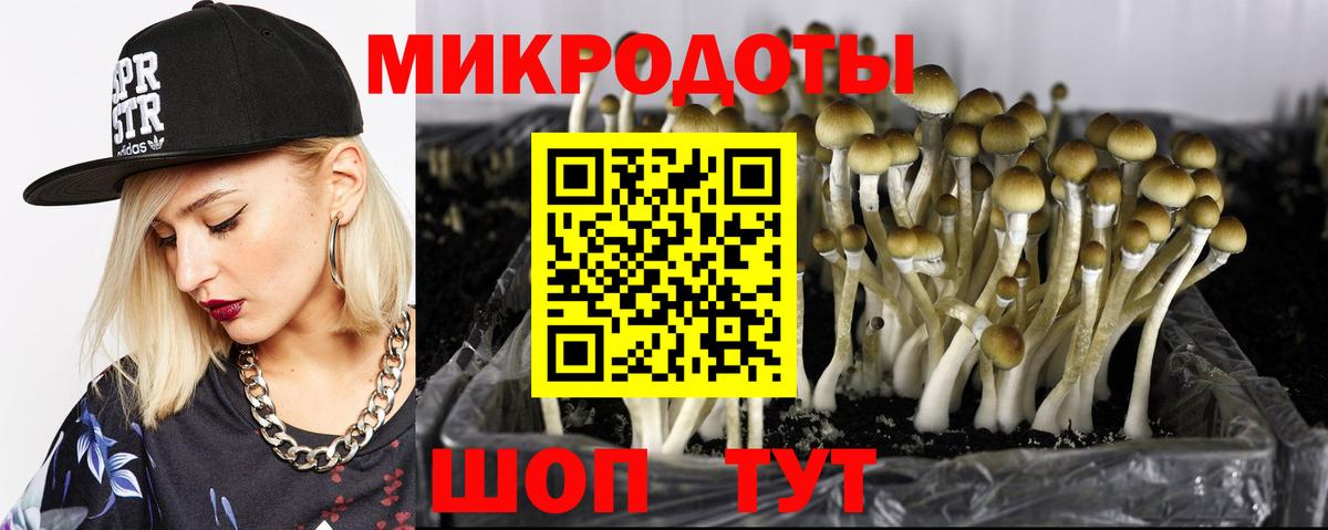 Псилоцибиновые грибы ЛСД Артём