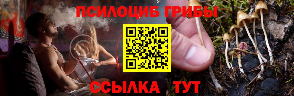 Галлюциногенные грибы ЛСД  Вход с VPN  Галлюциногенные грибы Magic Shrooms  Артём 