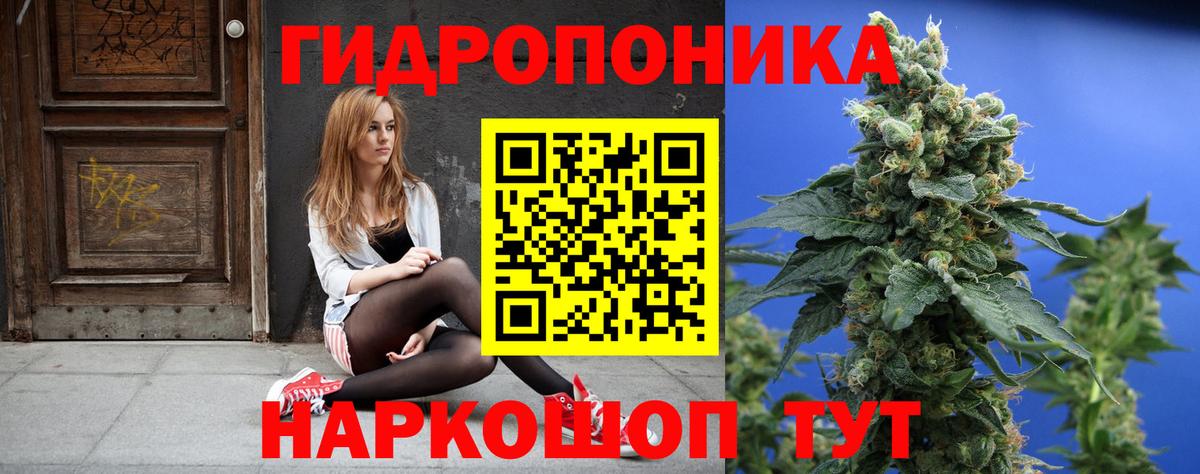 Марихуана ГИДРОПОН  Бошки Шишки план  Артём  Канабис SATIVA & INDICA  Вход с VPN 
